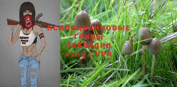 MESCALINE Абинск